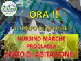 /album/foto-fb-nursind-ancona-formazione/agitazione-marche-jpg/